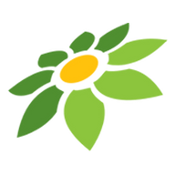 DI TOKOPEDIA